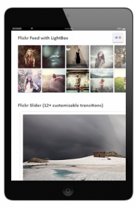 Flickr Gallery